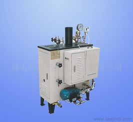 供應洗衣設備 全自動燃汽蒸汽鍋爐 整熨洗滌設備價格 廠家 圖片