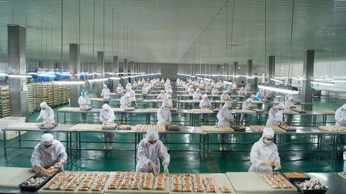 寵物食品第三股 以OEM模式為主能否在市場競爭中分得一杯羹？